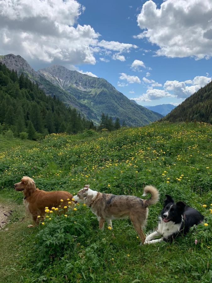 La Mansarda Di Casa Vacanze La Vite Bordogna Zewnętrze zdjęcie