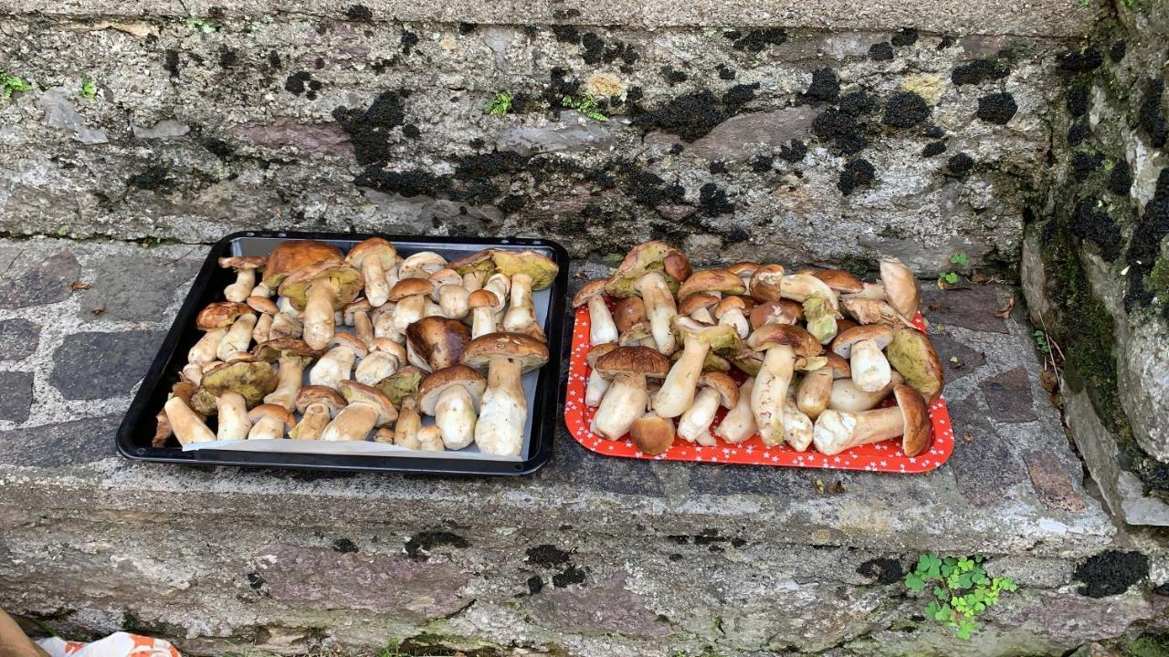 La Mansarda Di Casa Vacanze La Vite Bordogna Zewnętrze zdjęcie
